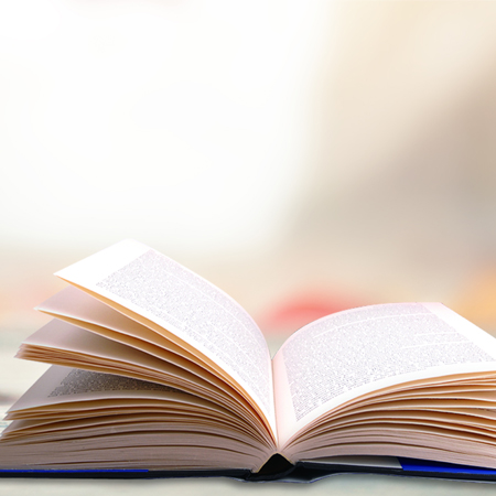 踝关节板矫正站立训练器